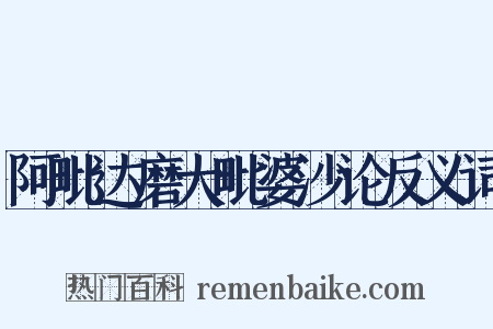 阿毗达磨大毗婆沙论反义词是什么意思的图片